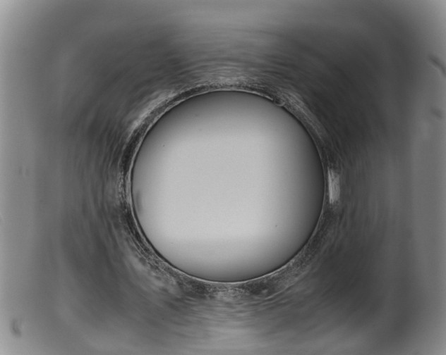X0000099530579200805231104