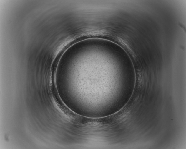 X0000099530582200805231104