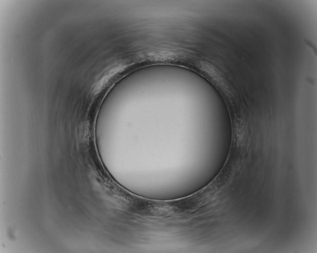 X0000099530583200805231104