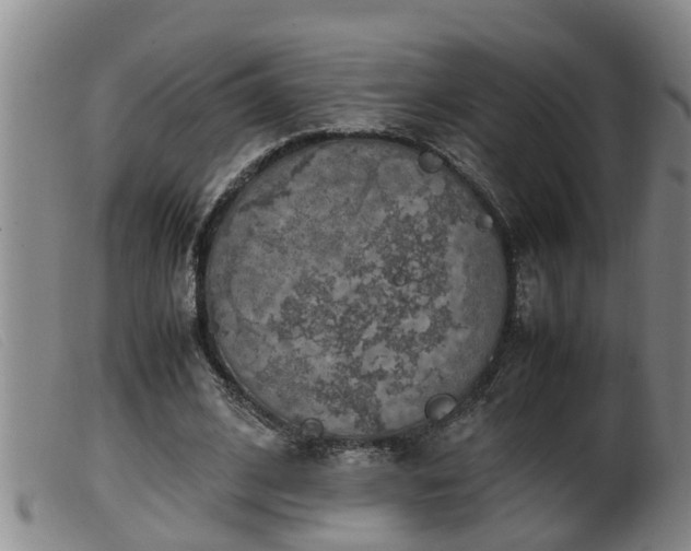 X0000099530584200805231104