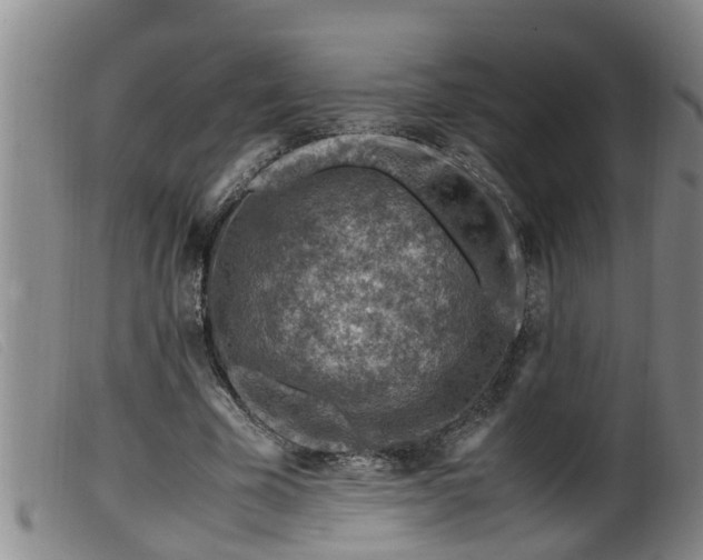 X0000099530585200805231104