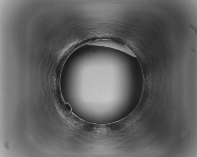 X0000099530587200805231104
