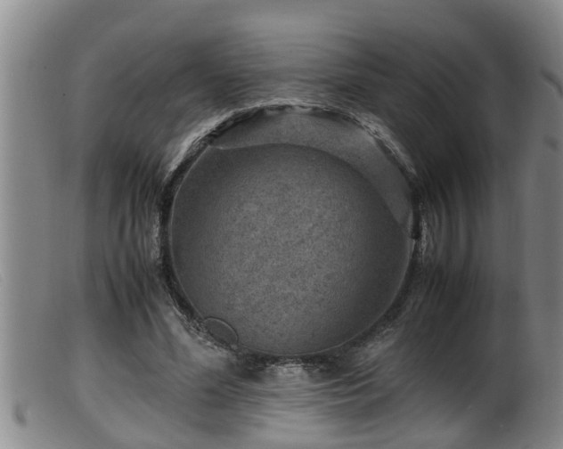 X0000099530588200805231104