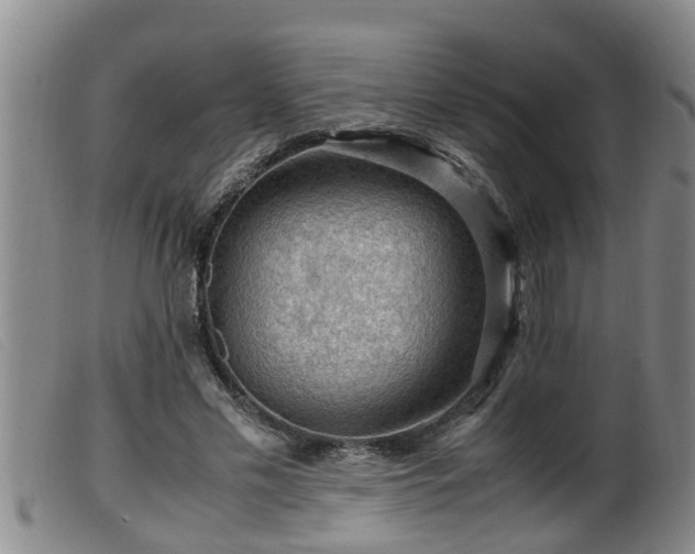 X0000099530589200805231104