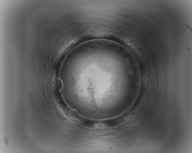 X0000099530591200805231104