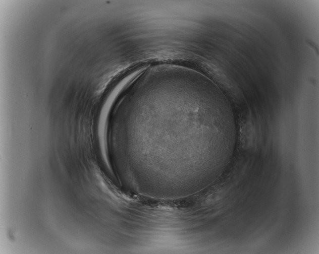 X0000099530592200805231104
