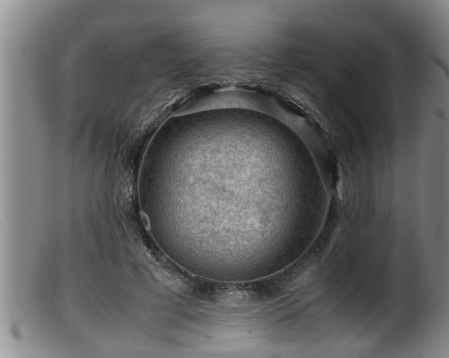 X0000099530593200805231104