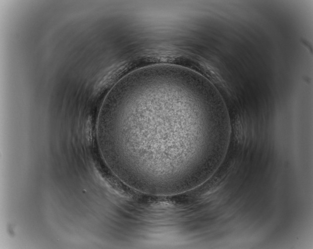 X0000099530594200805231104