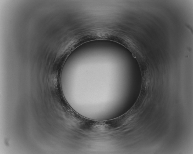 X0000099530595200805231104