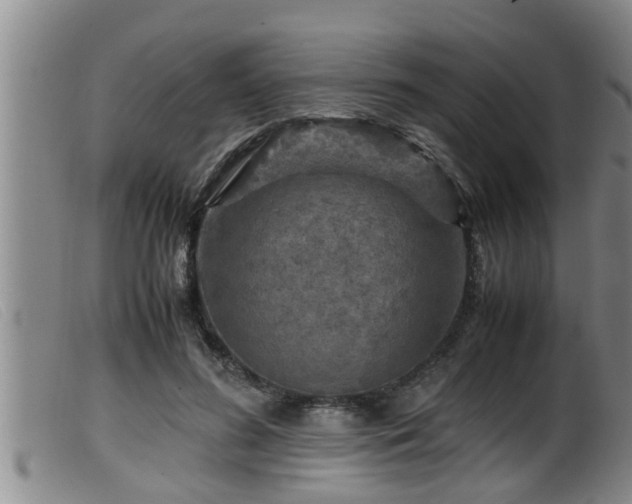 X0000099530596200805231104