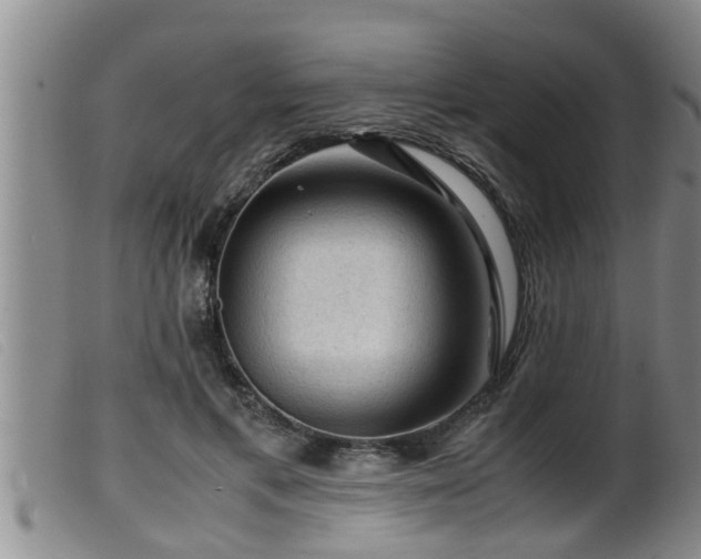 X0000099530597200805231104