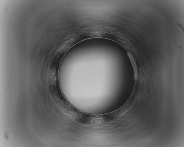 X0000099530599200805231104