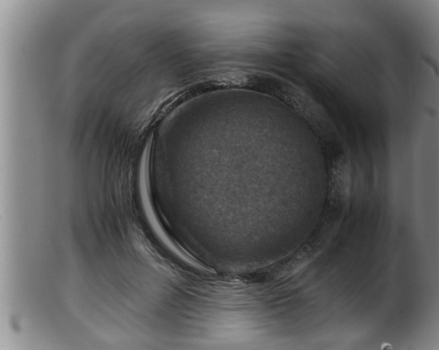 X0000099530600200805231104