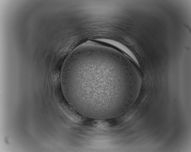 X0000099530601200805231104