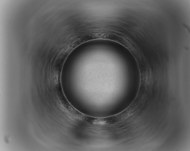 X0000099530602200805231104