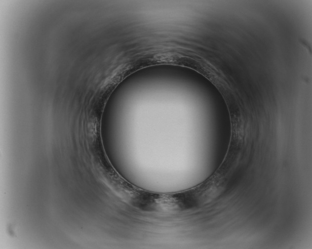 X0000099530603200805231104