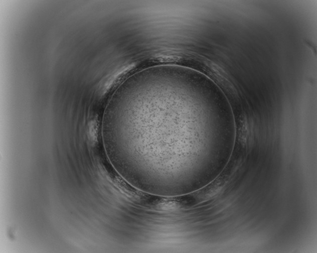X0000099530604200805231104