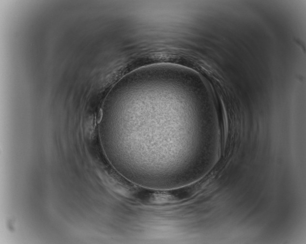 X0000099530605200805231104