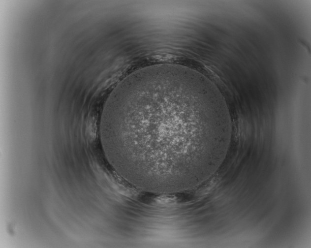 X0000099530606200805231104