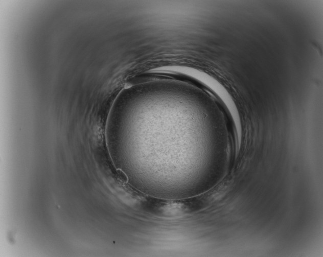 X0000099530609200805231104
