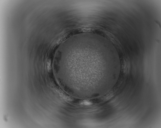 X0000099530610200805231104