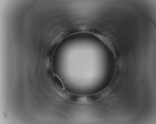 X0000099530611200805231104