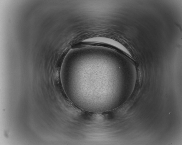 X0000099530613200805231104