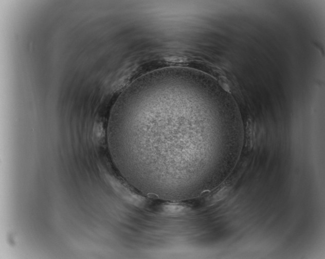 X0000099530614200805231103