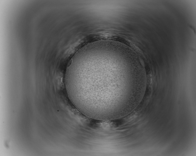 X0000099530615200805231103