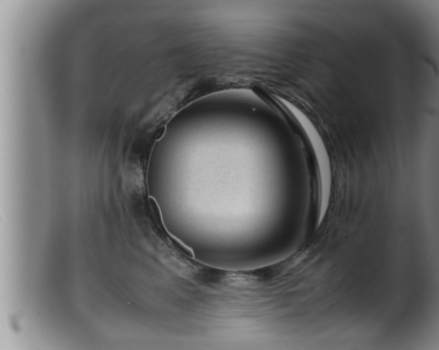 X0000099530617200805231103
