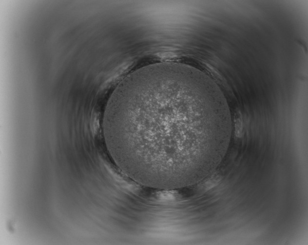 X0000099530618200805231103