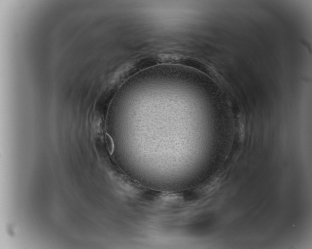 X0000099530619200805231103