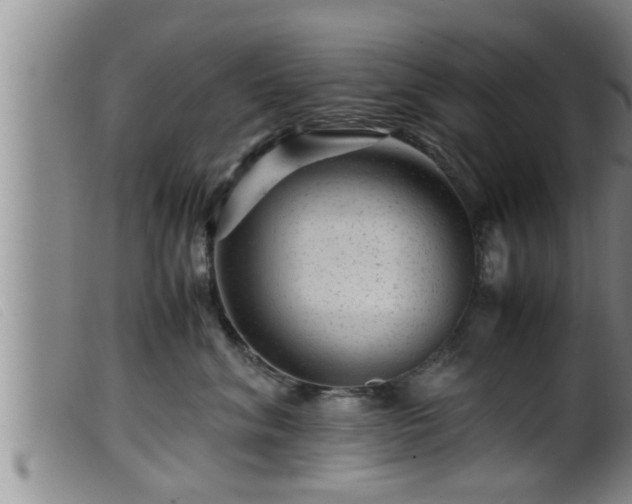X0000099530620200805231103