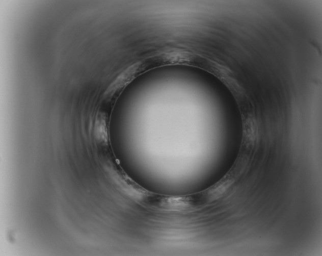 X0000099530622200805231103