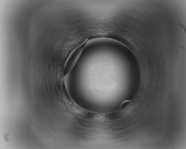 X0000099530624200805231103