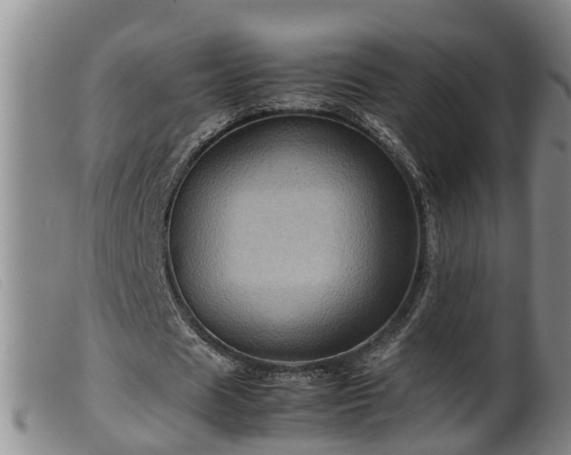 X0000099530625200805231103