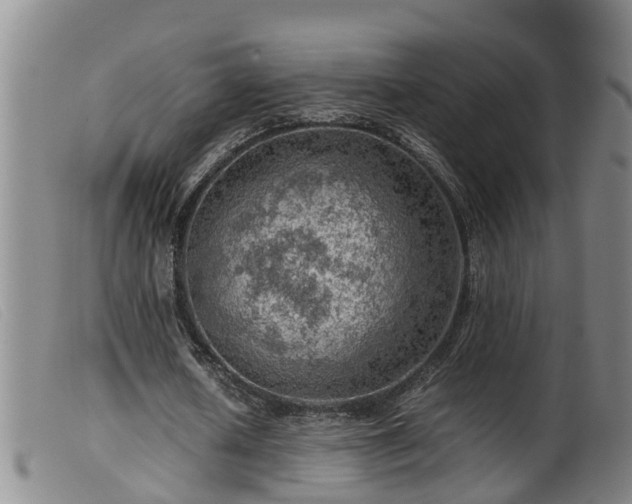 X0000099530626200805231103