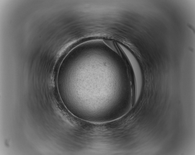 X0000099530628200805231103
