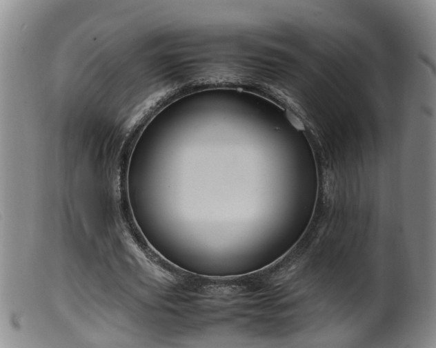 X0000099530629200805231103