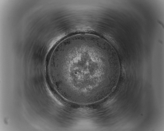 X0000099530630200805231103