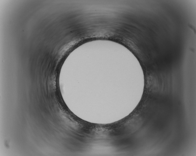 X0000099530632200805231103