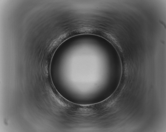 X0000099530633200805231103