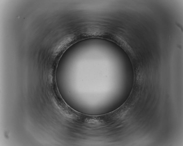 X0000099530635200805231103