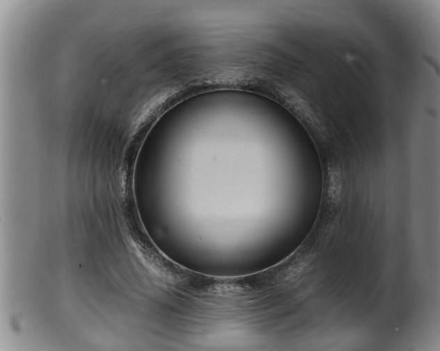 X0000099530636200805231103