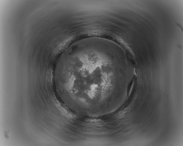 X0000099530637200805231103