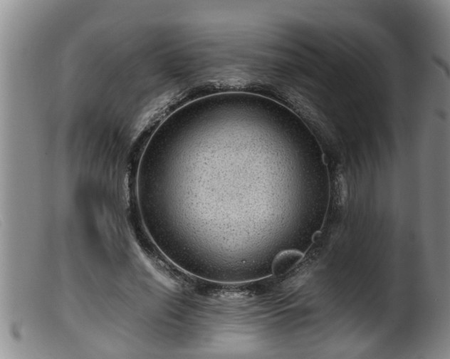 X0000099530638200805231103