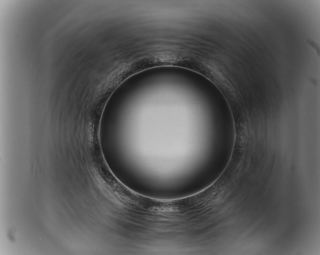 X0000099530639200805231103