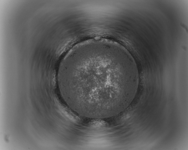 X0000099530642200805231103