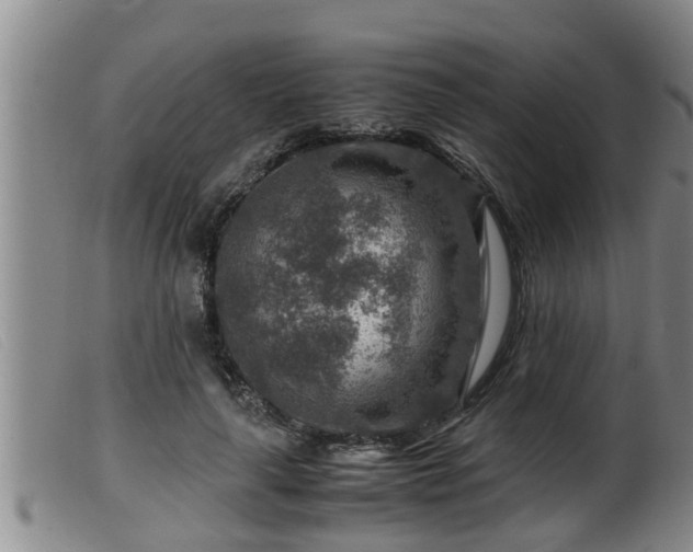 X0000099530643200805231103