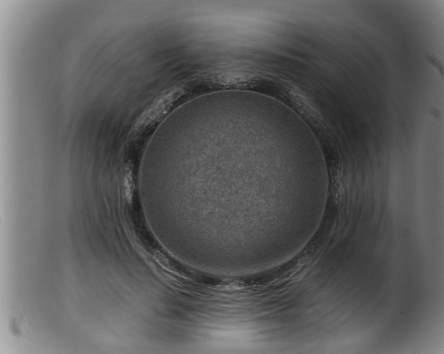X0000099530644200805231103